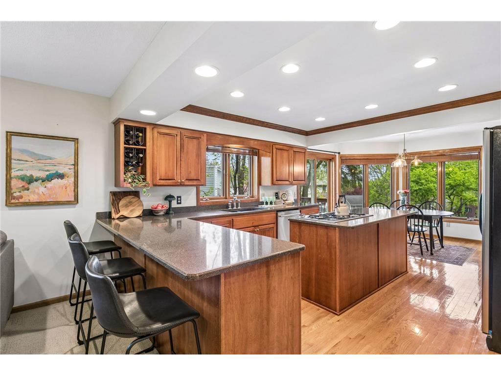 12990 57th Avenue N Plymouth MN 55442 7073866 image16
