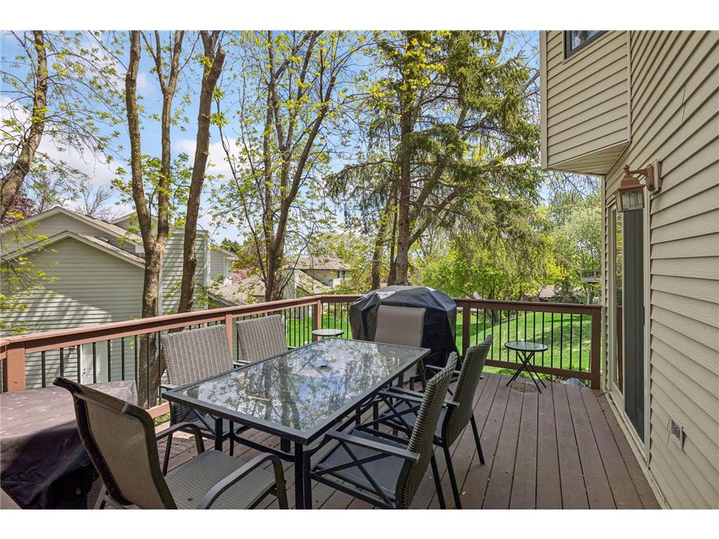 12990 57th Avenue N Plymouth MN 55442 7073866 image61