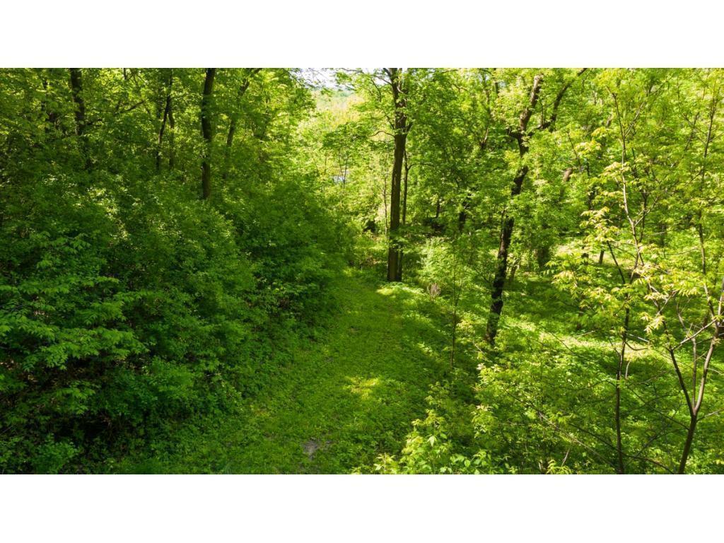12991 Point Douglas Drive S Denmark Twp MN 55033 7059547 image10
