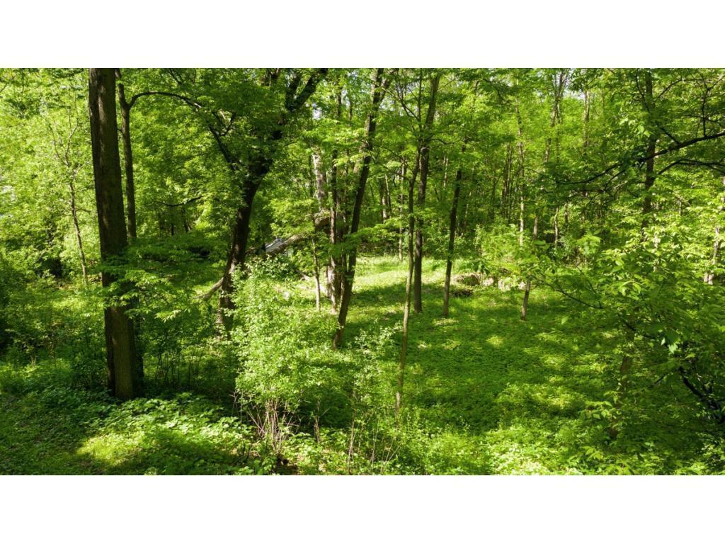 12991 Point Douglas Drive S Denmark Twp MN 55033 7059547 image11