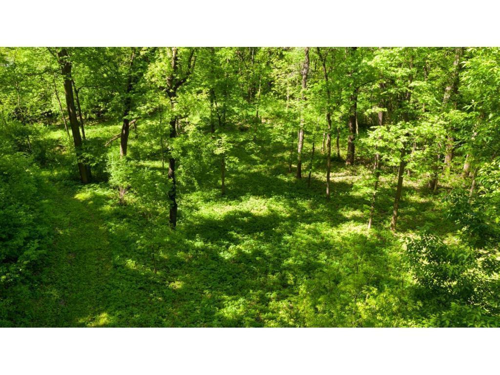 12991 Point Douglas Drive S Denmark Twp MN 55033 7059547 image12