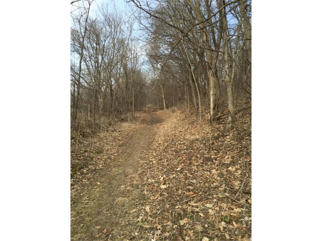 12991 Point Douglas Drive S Denmark Twp MN 55033 7059547 image13