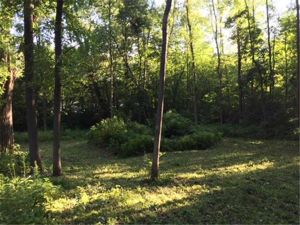 12991 Point Douglas Drive S Denmark Twp MN 55033 7059547 image14