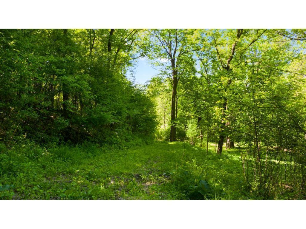 12991 Point Douglas Drive S Denmark Twp MN 55033 7059547 image3