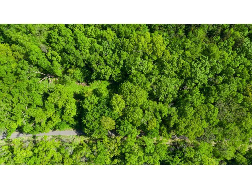 12991 Point Douglas Drive S Denmark Twp MN 55033 7059547 image4