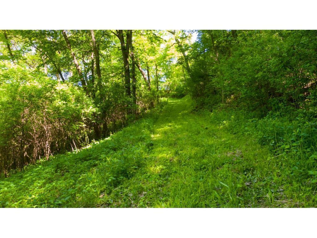 12991 Point Douglas Drive S Denmark Twp MN 55033 7059547 image8