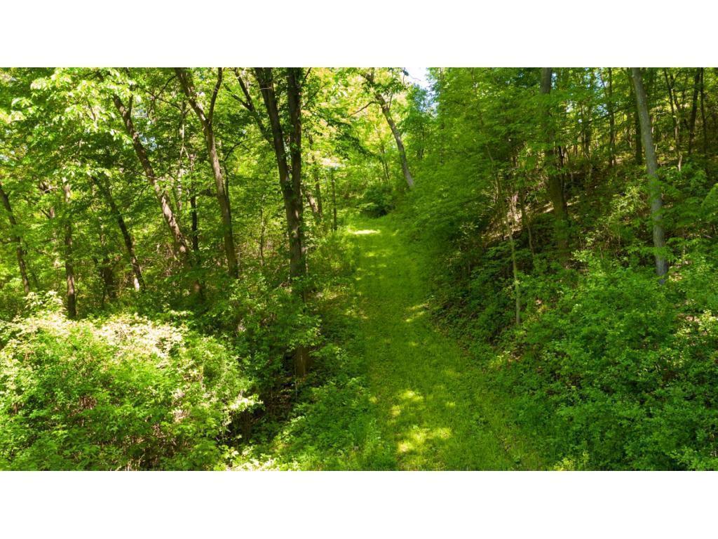 12991 Point Douglas Drive S Denmark Twp MN 55033 7059547 image9