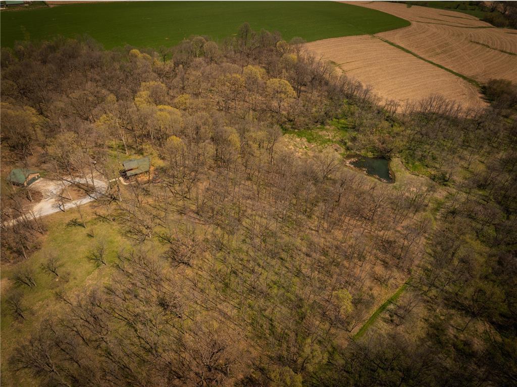 12994 385th Avenue Canton Twp MN 55922 7058632 image2