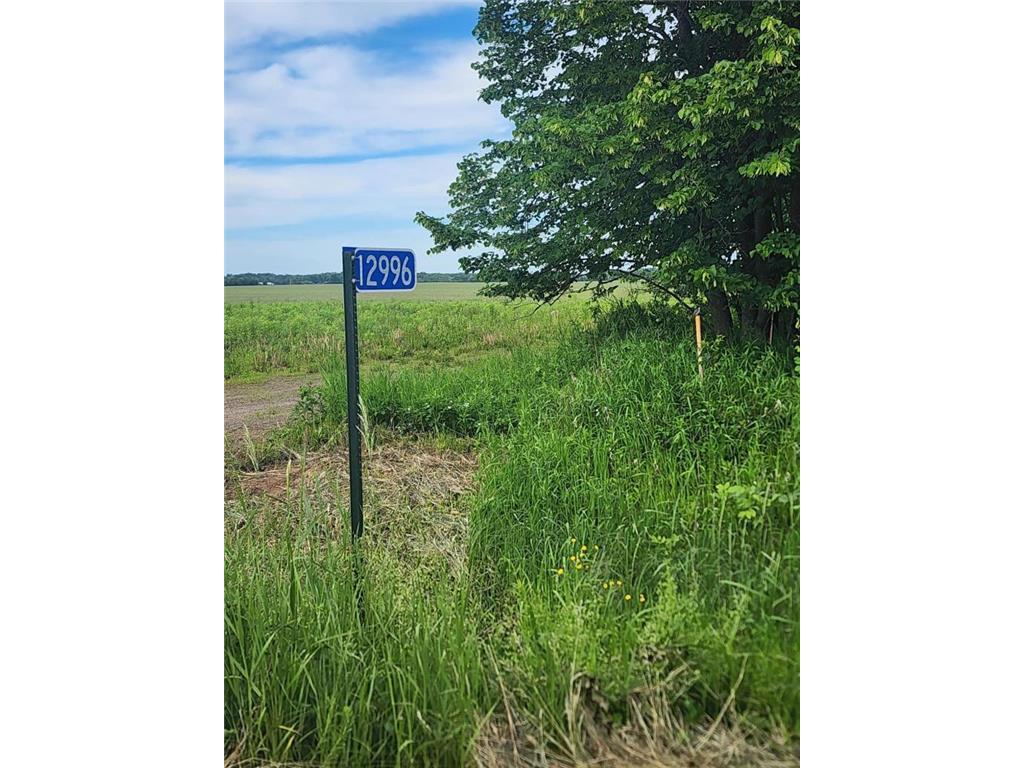 12996 115th Avenue NE Alberta Twp MN 56329 6588510 image1