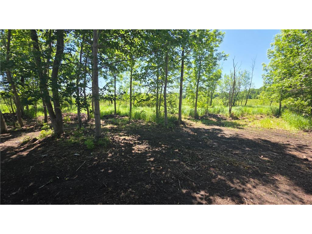 129XX W Abbey Lake Lane Detroit Lakes MN 56501 - Abbey 7092188 image12