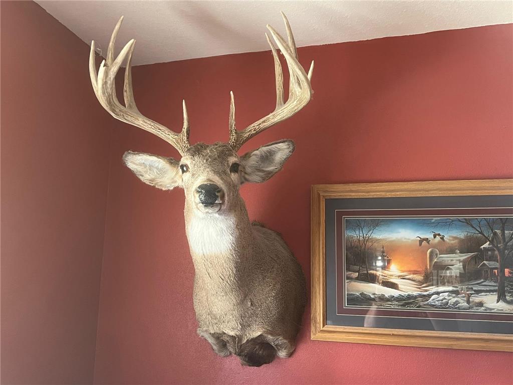 12TBD Highway 56 Boulevard Le Roy Twp MN 55951 - Upper Iowa River 6731208 image18