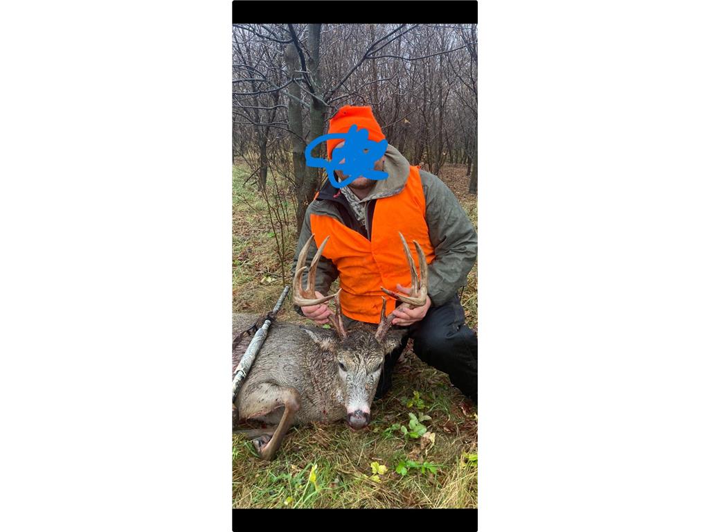 12TBD Highway 56 Boulevard Le Roy Twp MN 55951 - Upper Iowa River 6731208 image19