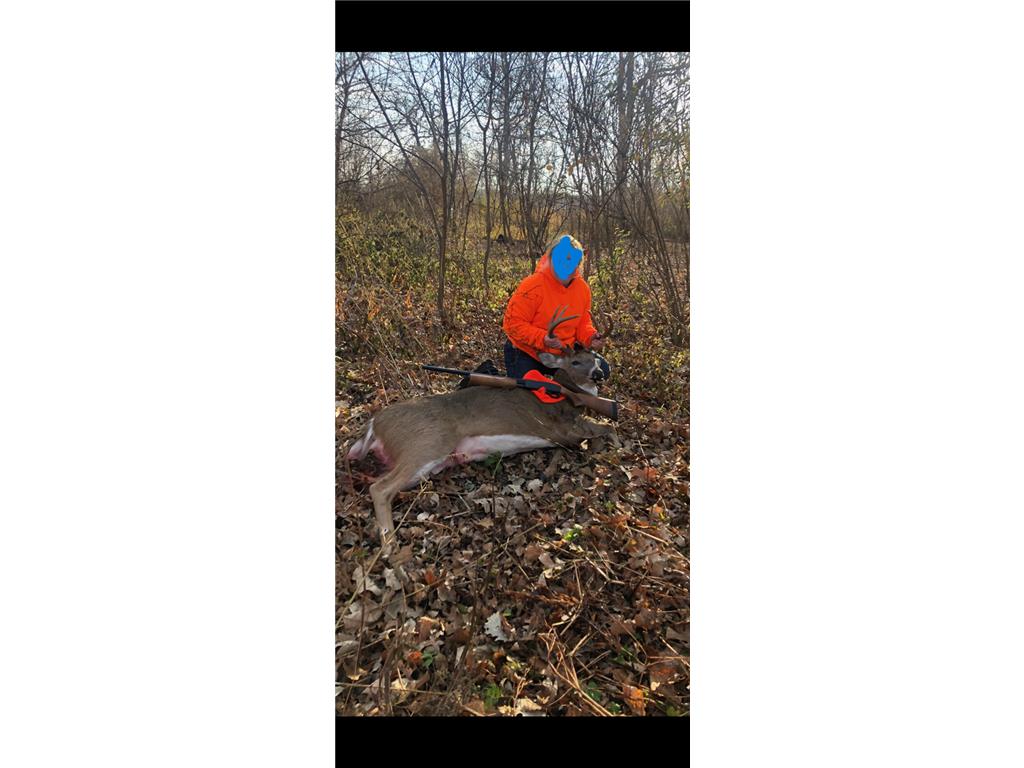 12TBD Highway 56 Boulevard Le Roy Twp MN 55951 - Upper Iowa River 6731208 image20