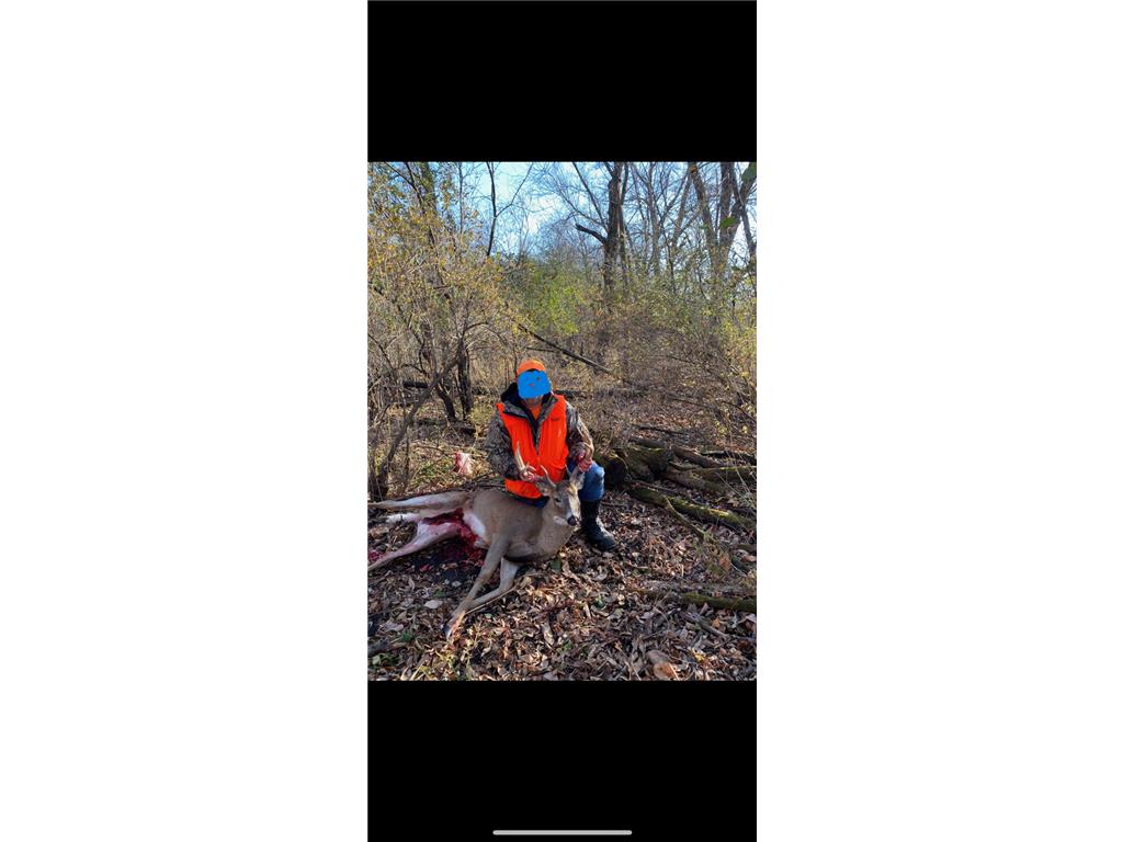 12TBD Highway 56 Boulevard Le Roy Twp MN 55951 - Upper Iowa River 6731208 image21