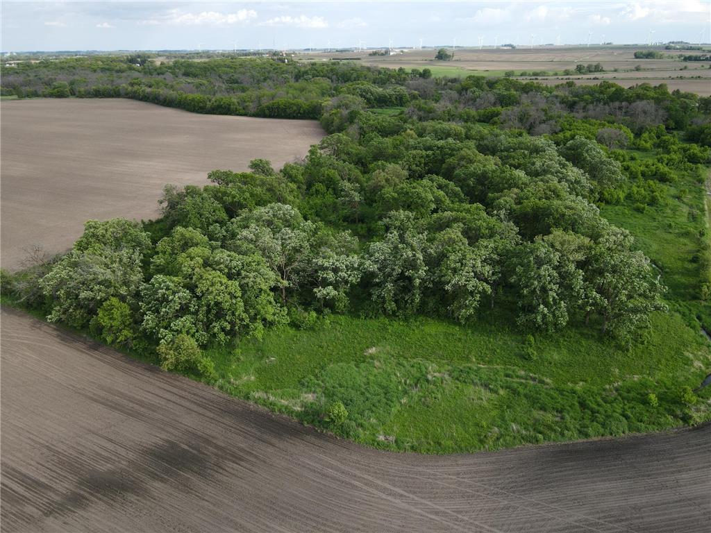 12TBD Highway 56 Boulevard Le Roy Twp MN 55951 - Upper Iowa River 6731208 image32