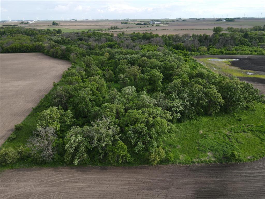 12TBD Highway 56 Boulevard Le Roy Twp MN 55951 - Upper Iowa River 6731208 image33