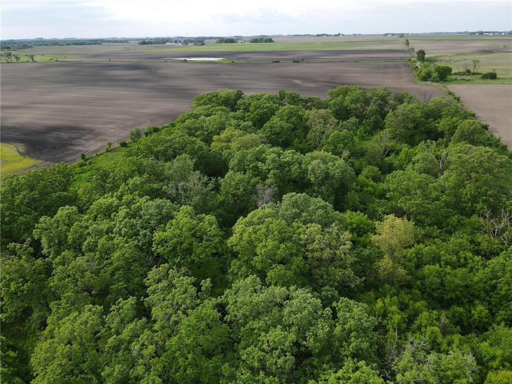 12TBD Highway 56 Boulevard Le Roy Twp MN 55951 - Upper Iowa River 6731208 image34