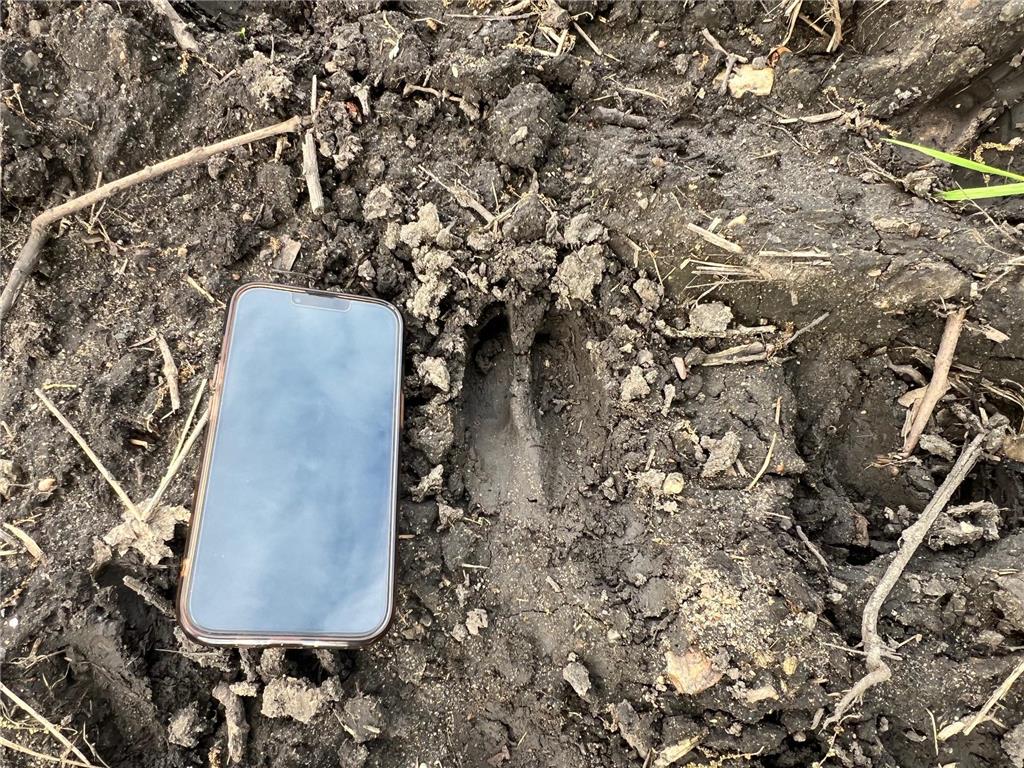 12TBD Highway 56 Boulevard Le Roy Twp MN 55951 - Upper Iowa River 6731208 image37