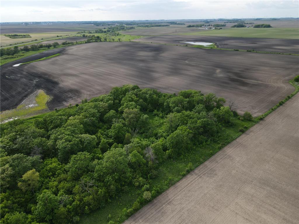 12TBD Highway 56 Boulevard Le Roy Twp MN 55951 - Upper Iowa River 6731208 image39