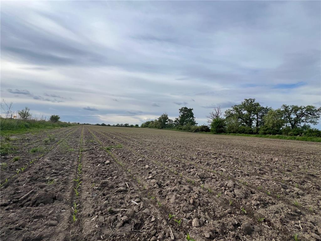 12TBD Highway 56 Boulevard Le Roy Twp MN 55951 - Upper Iowa River 6731208 image7