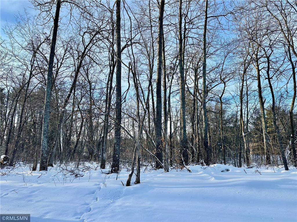 12xxx County Road 8 Brainerd MN 56401 - Grave 7007920 image5