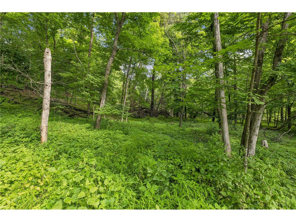 13 Butternut Falls Trail N Marine On Saint Croix MN 55047 - St Croix River 7095988 image44
