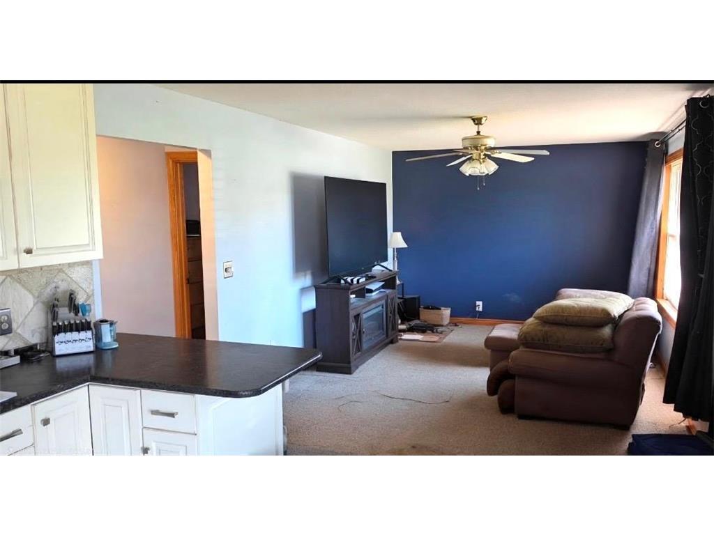 13 N Muyres Avenue Carlos MN 56319 7056822 image6