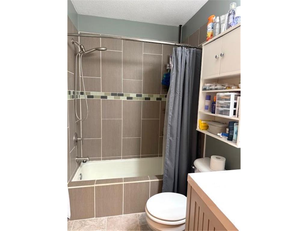 13 N Muyres Avenue Carlos MN 56319 7056822 image9
