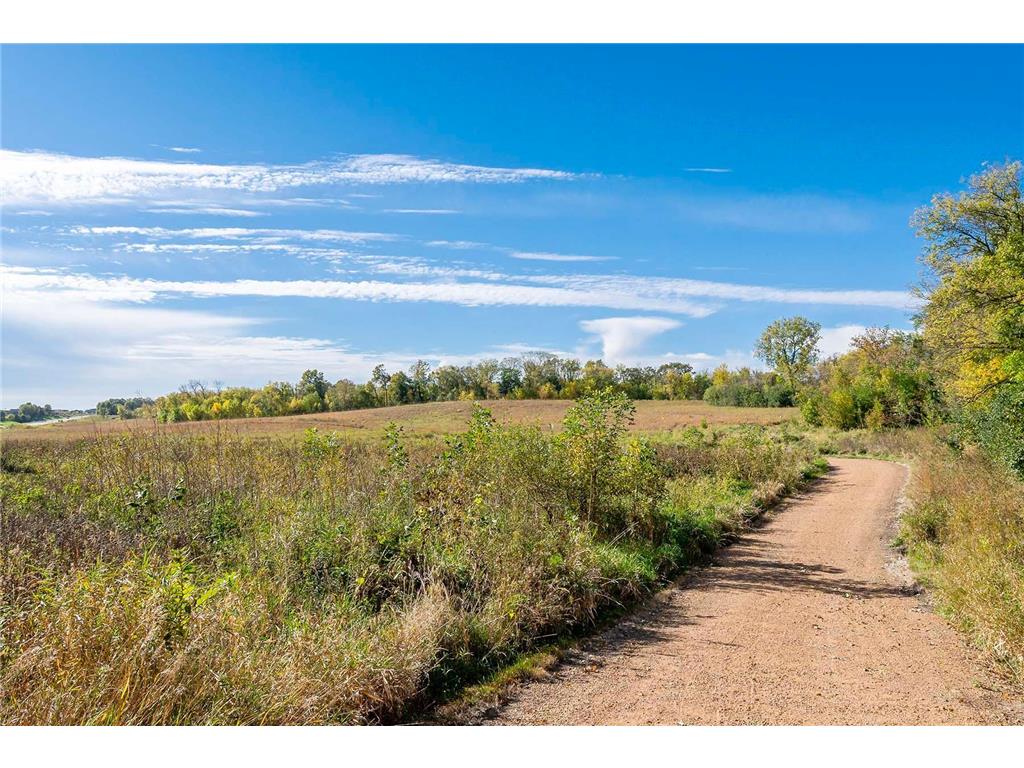 130 Bergamot Drive Medina MN 55340 7050968 image62