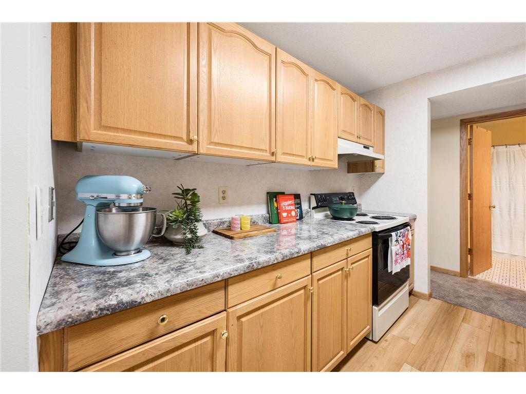 130 E Demont Avenue E #348 Little Canada MN 55117 7106099 image17