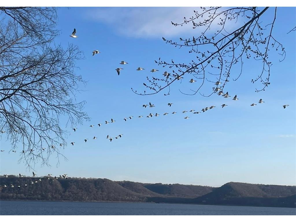 1300 1st Street Pepin WI 54759 - Lake Pepin 6815096 image36