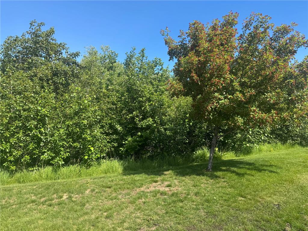 1300 Event Center Drive NE #5 Bemidji MN 56601 7097102 image31