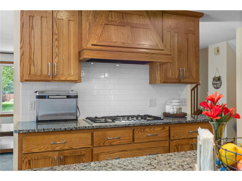 13001 Nightingale Street NW Coon Rapids MN 55448 7094261 image24