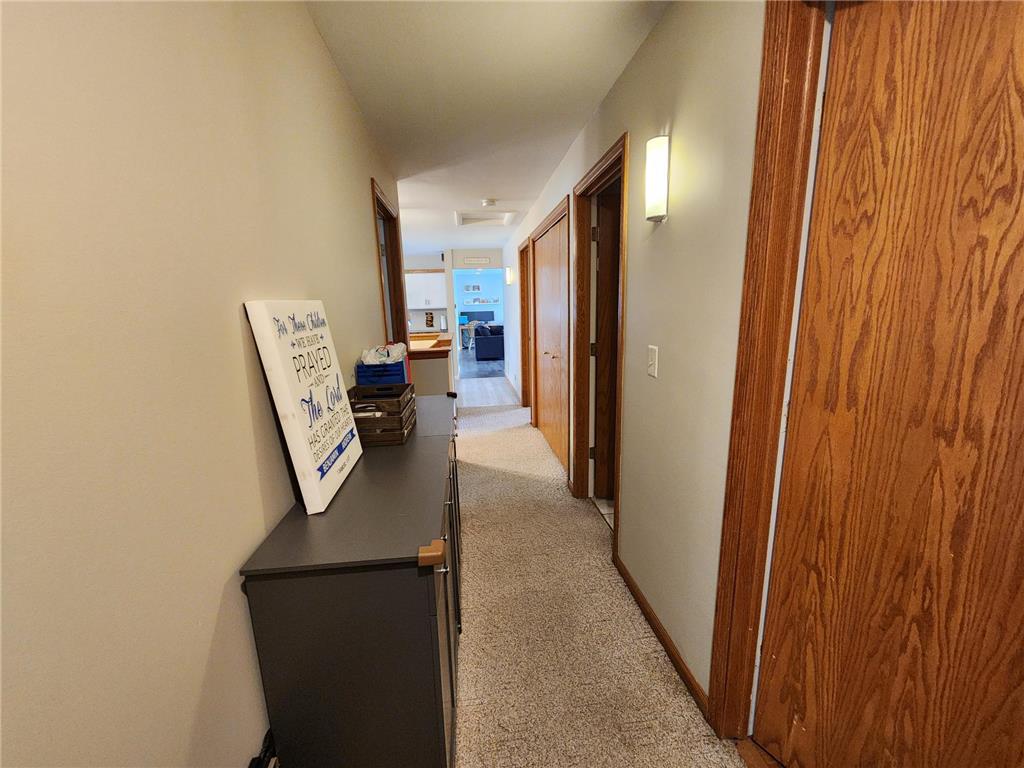1301 Circle Avenue Albert Lea MN 56007 - Fountain 7068051 image26