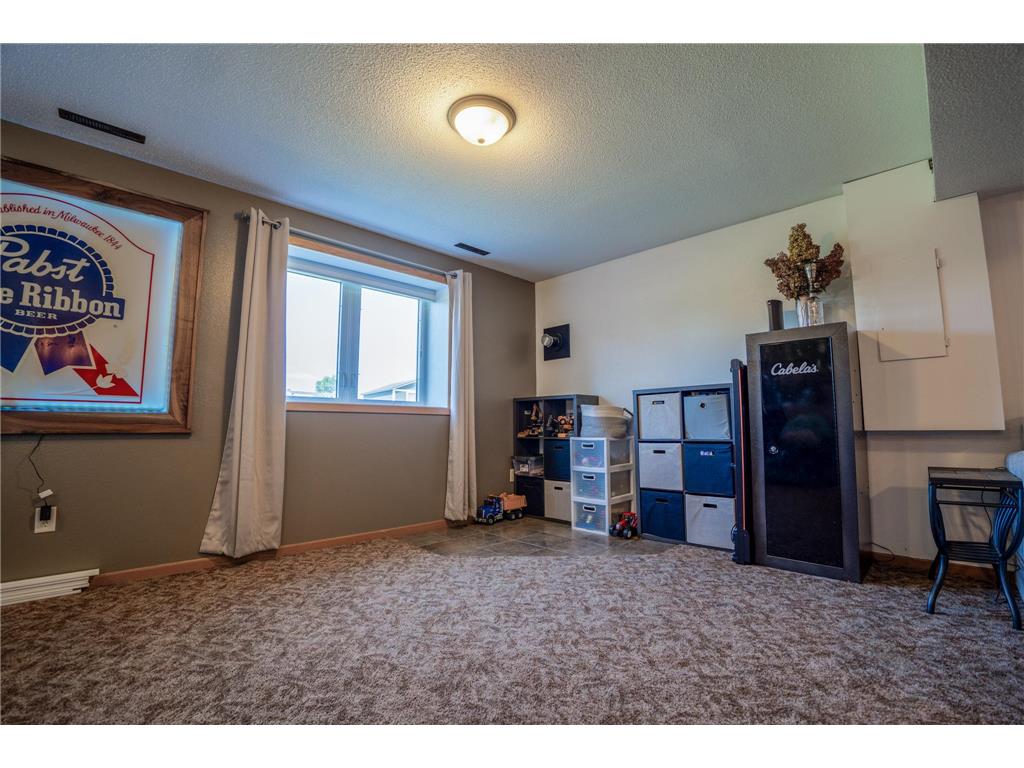 13010 212th Avenue NE Roseville Twp MN 56273 7081978 image24
