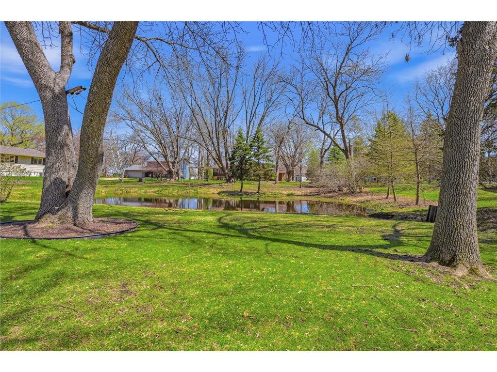 1302 3rd Avenue NE Buffalo MN 55313 7060268 image46