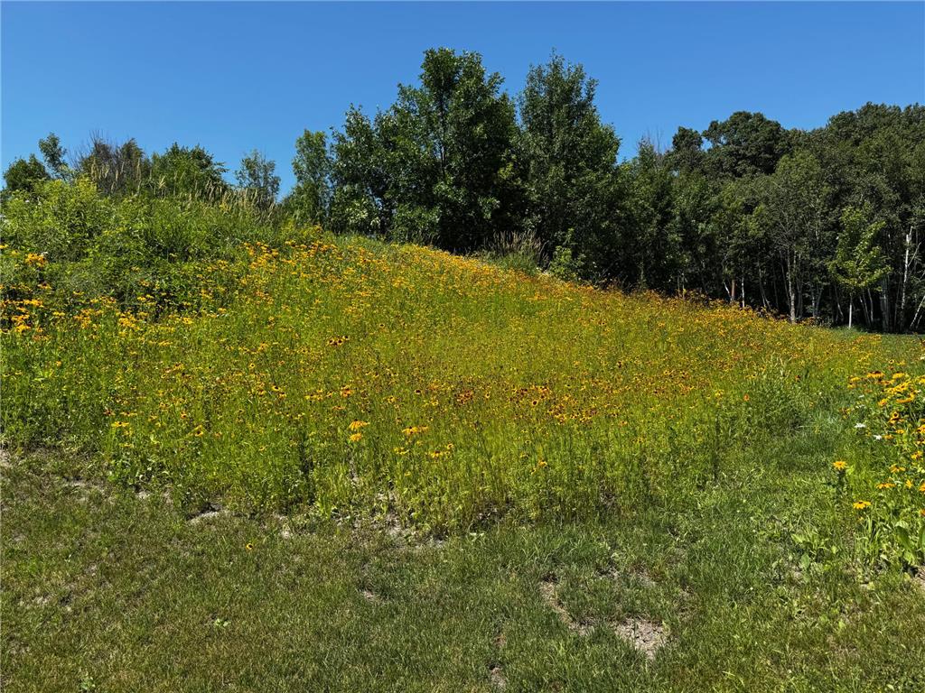 1302 Greentree Drive Saint Croix Falls WI 54024 7059565 image53