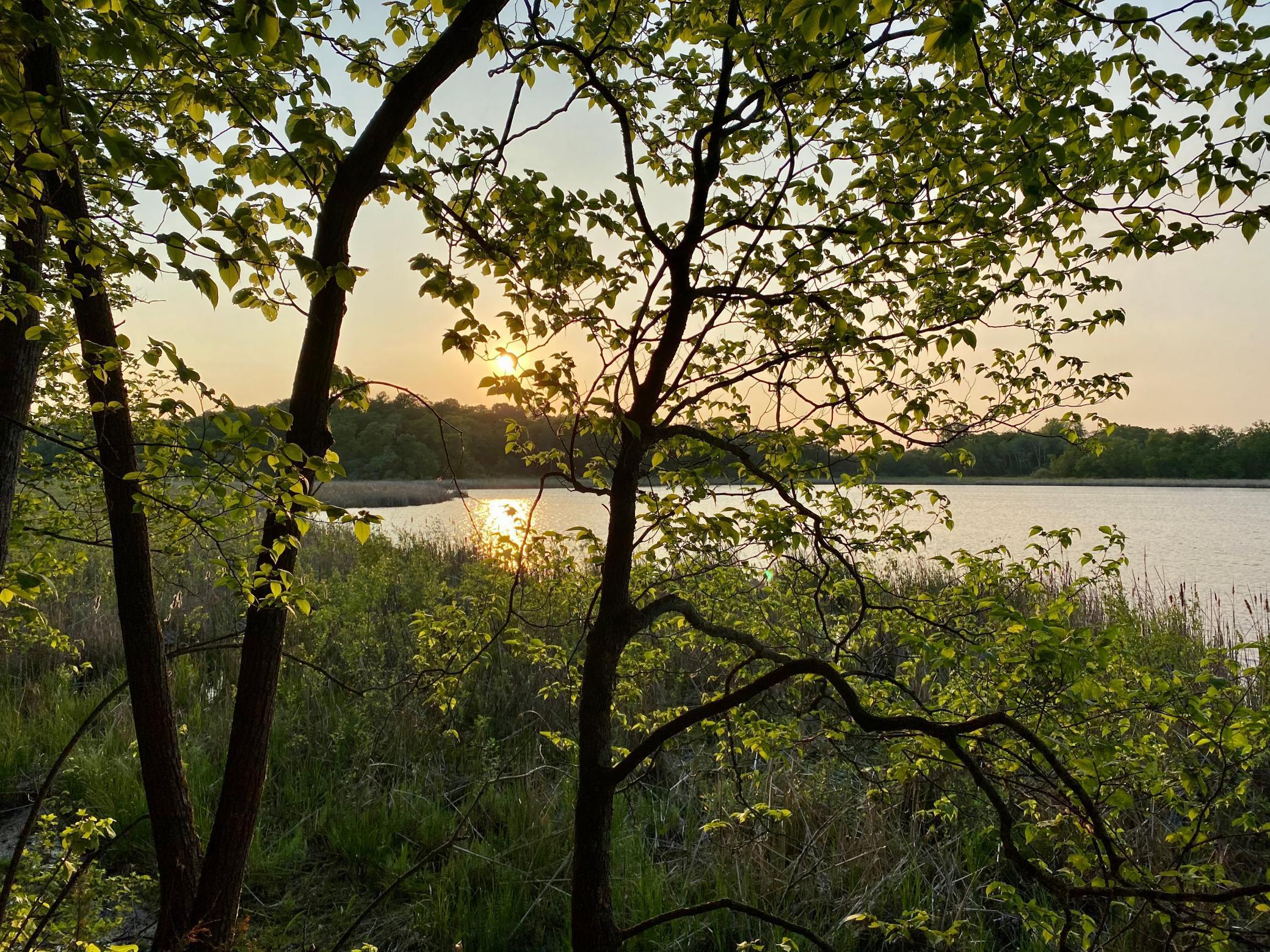 13030 205th Avenue NE, Hawick, MN, 56273 MLS 5747431 Edina Realty