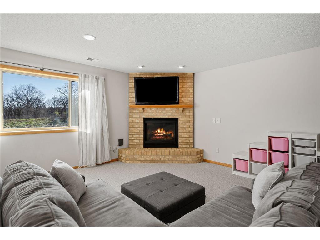 13033 Yellow Pine Street NW Coon Rapids MN 55448 7061764 image62