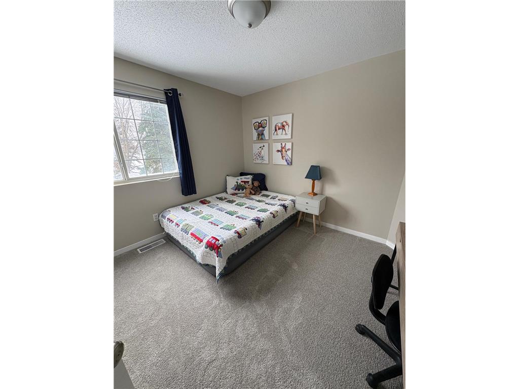 13037 Durum Court Eden Prairie MN 55347 7087542 image9