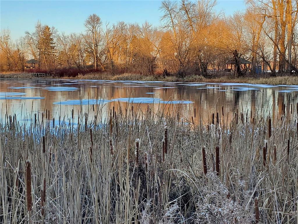 1304 W Medicine Lake Drive #119 Plymouth MN 55441 - Medicine Lake 7059358 image29