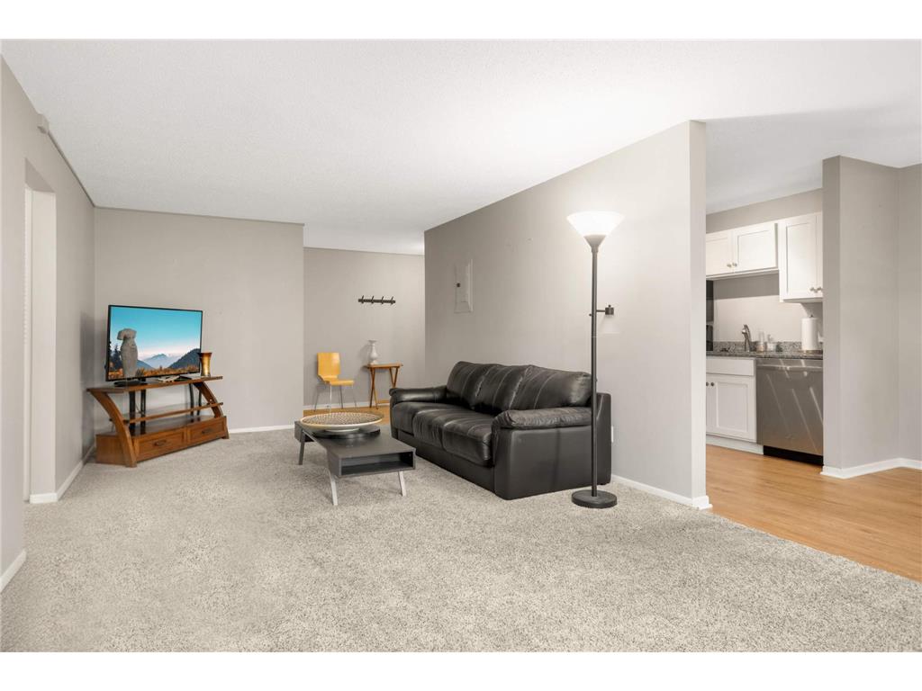 1304 W Medicine Lake Drive #202 Plymouth MN 55441 - Medicine Lake 6821213 image8