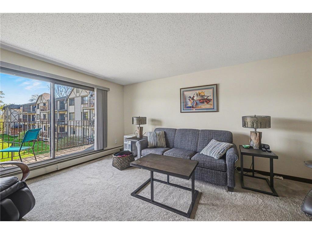 1304 W Medicine Lake Drive #221 Plymouth MN 55441 - Medicine Lake 7063893 image8
