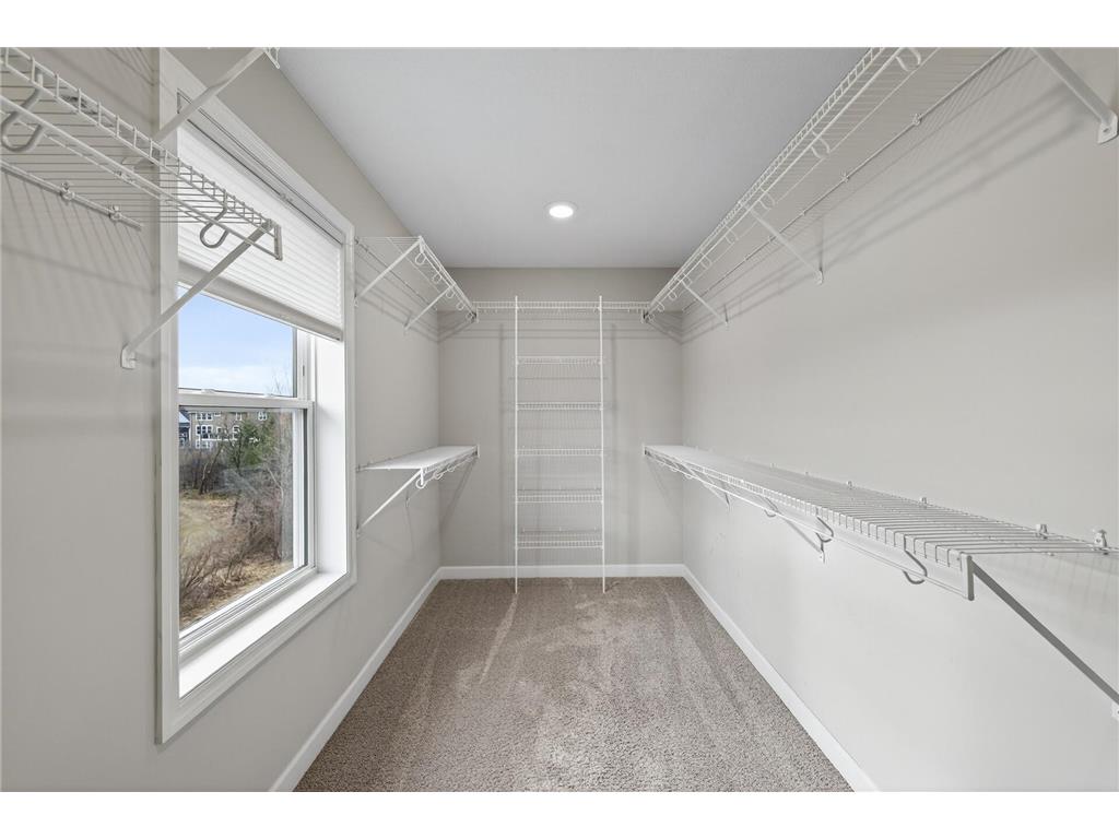 13046 Aulden Avenue Rosemount MN 55068 - Horseshoe Lake 7051945 image48