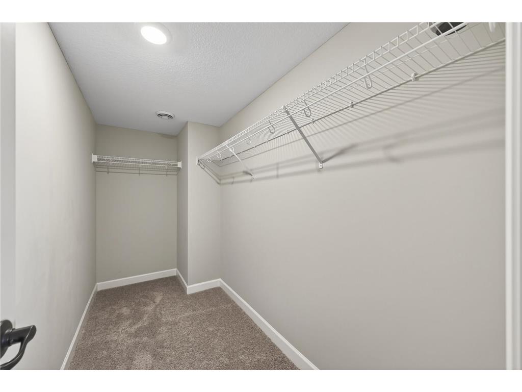 13046 Aulden Avenue Rosemount MN 55068 - Horseshoe Lake 7051945 image76