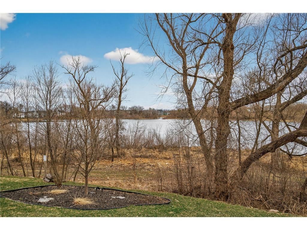 13046 Aulden Avenue Rosemount MN 55068 - Horseshoe Lake 7051945 image78