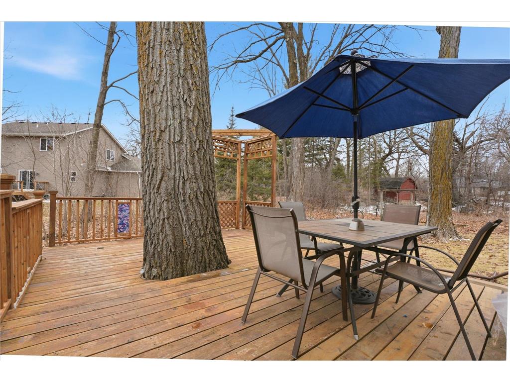 1305 Spruce Place Orono MN 55364 - Lake Minnetonka 7033751 image6