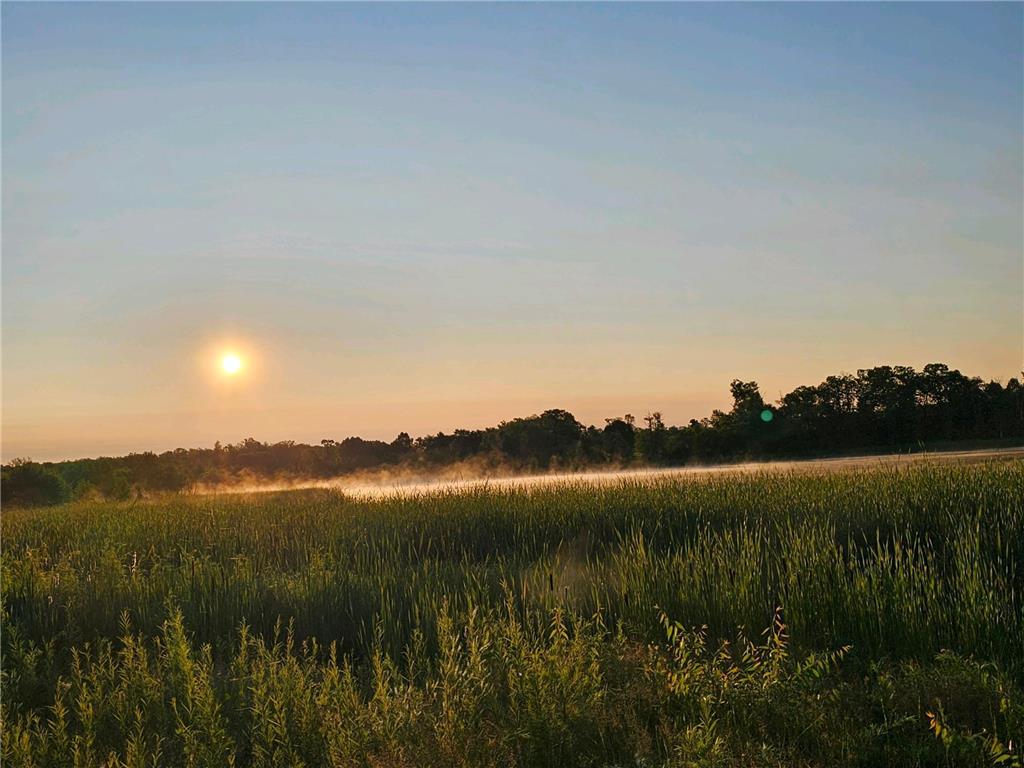 13051 E Pearl Lake Road Lake Eunice Twp MN 56501 - Loon Lake 6403121 image1