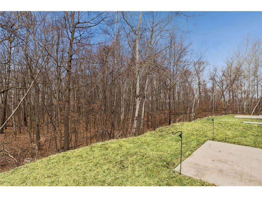 1307 Prairie Lane Saint Croix Falls WI 54024 7042337 image30