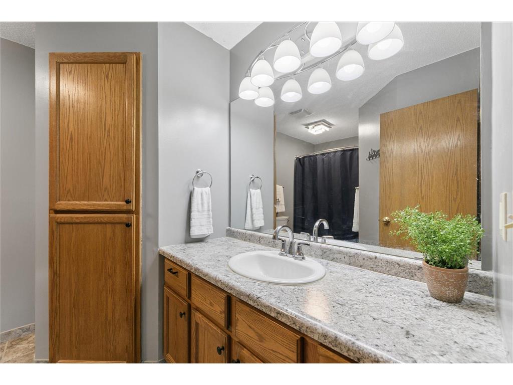 13088 Vintage Street NW Coon Rapids MN 55448 7083315 image12